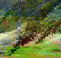 The Red Apron Gourmet Kitchen - Stayed