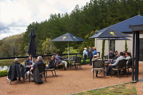Cloud 9 Farm - Stays Accommodation 2