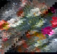 Ink Cafe - Stays Accommodation