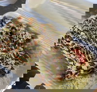 Meshiya Japanese - Stayed