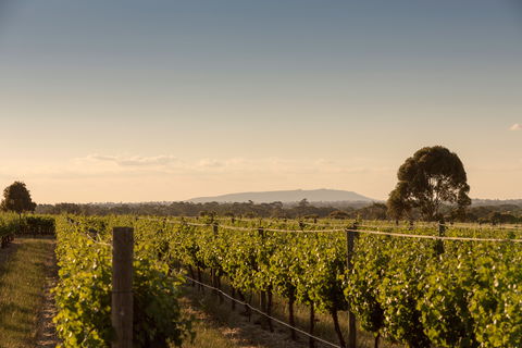 Norton Estate Wines - Stays Accommodation 2