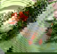 Snackleberry - Stayed