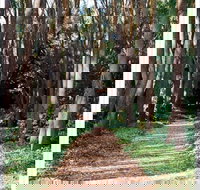 The Field of Dreams Cafe