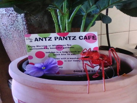 Antz Pantz Cafe - Stayed 0