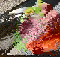 Cafe Rhubaba - Stayed