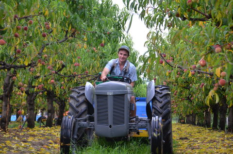 Darkes Glenbernie Orchard - Stayed 1