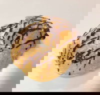 Delish Patisserie - Stayed