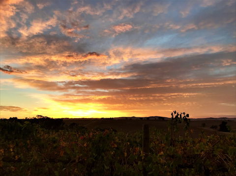Gomersal Wines - Stays Accommodation 2