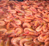 Grunske's By The River Seafood Market and Restaurant - Stayed