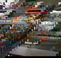 Intra Coffee - Stayed