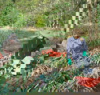 Sweet Water Farm - Stays Accommodation