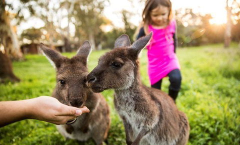 Woodstock Coterie Estate - Stays Accommodation 16