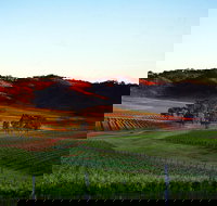 Dalwhinnie Wines - Stayed