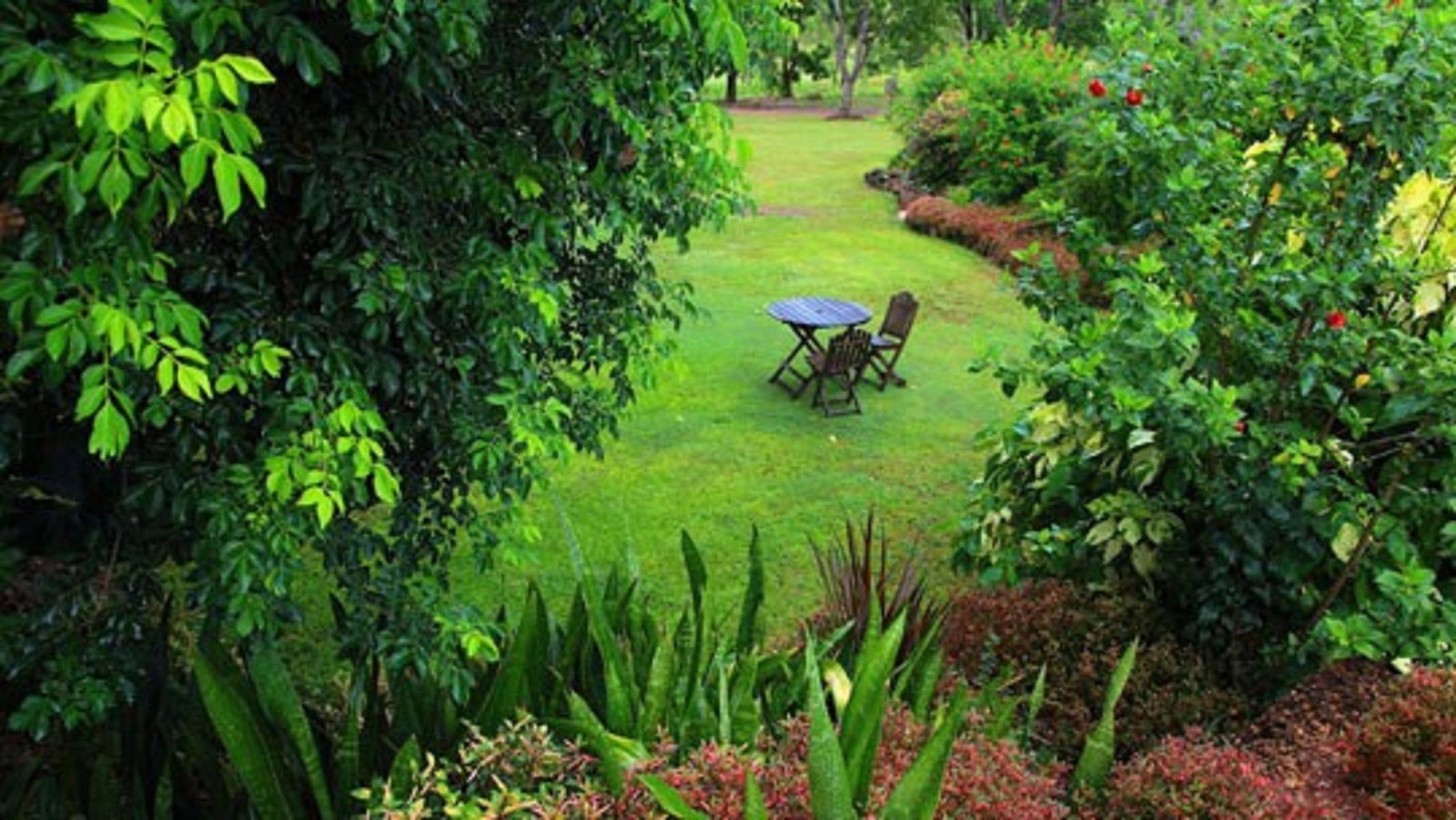 Emerald Springs NT Stayed