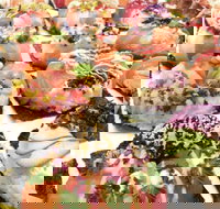 Fish Market Cafe - Stays Accommodation