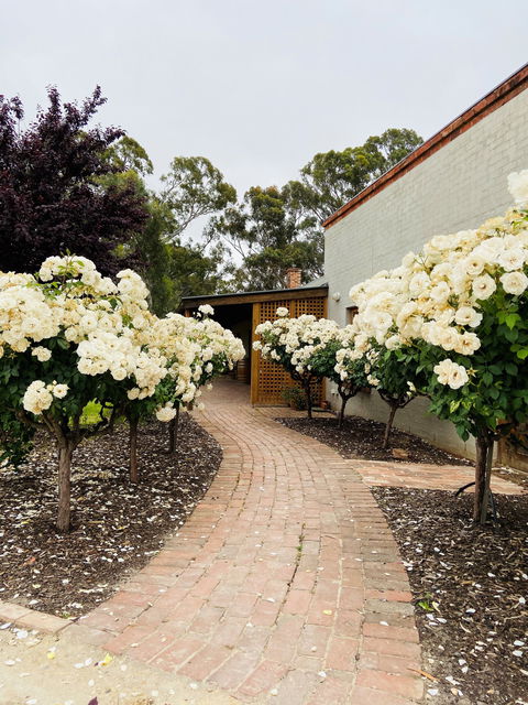 Lindsay Wine Estate - Stays Accommodation 2