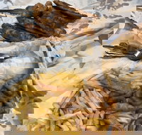 Miami Fish and Chip Shack - Stayed