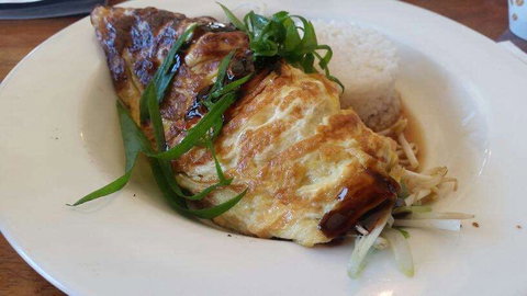 Primary Espresso - Stayed 0