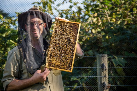 Pure Peninsula Honey - Stays Accommodation 0