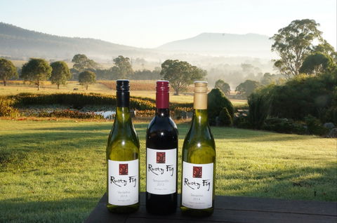 Rusty Fig Wines - Stayed 0