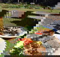 Sunspace Cafe - Stayed