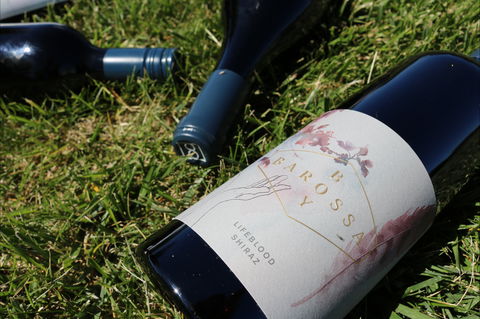 Barossa Boy Wines - Stays Accommodation 2