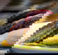 Griffith Exies Club - Stayed