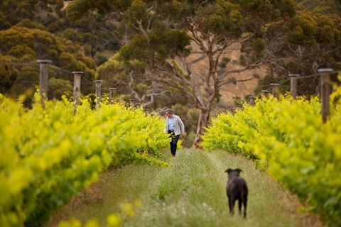 Islander Estate Vineyards - Stays Accommodation 1