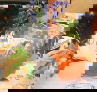 Smokkim - Ryde - Stayed