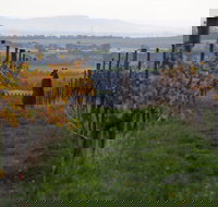 Barwon Ridge Wines - Stayed