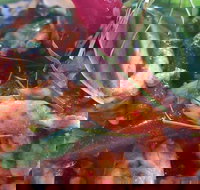 Jack Style Thai Restaurant - Stayed