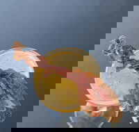 Maybe Frank - Randwick - Stayed