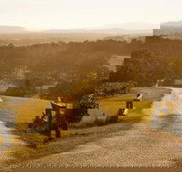 Petersons Wines - Stays Accommodation