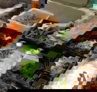 Sushi Inn Express - Stayed