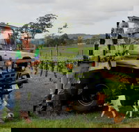 Brook Eden Vineyard - Stayed