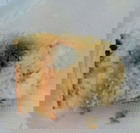 Central Patisseries - Stayed