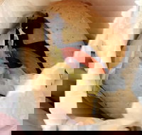 The Burger Haus - Stayed