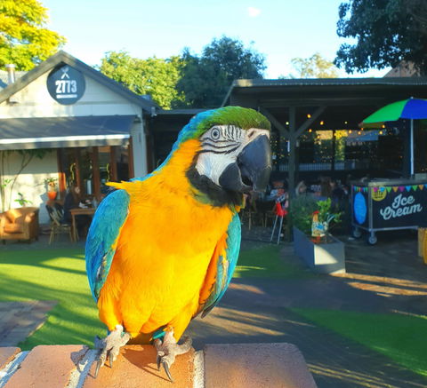 Cafe 2773 - Stays Accommodation 2