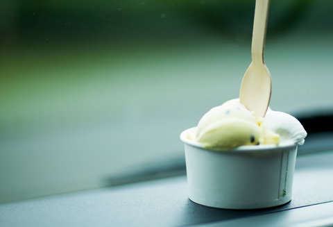 Daintree Ice Cream Company - Stayed 0