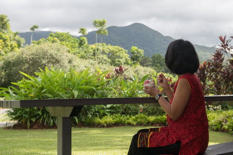 Daintree Ice Cream Company - Stayed 1