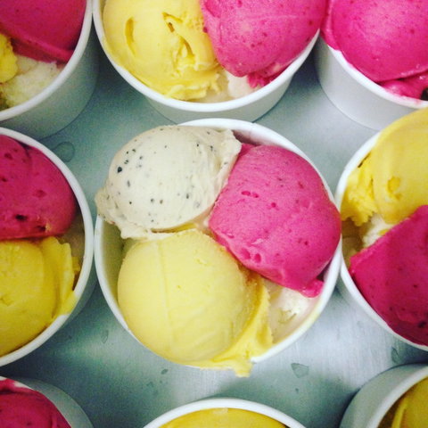 Daintree Ice Cream Company - Stayed 2