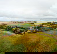 Pettavel Wines - Stayed