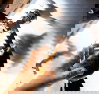 Seven Mile Brewing Co - Stayed