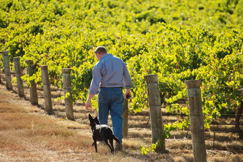 Eden Hall Wines - Stayed 1