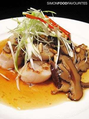 Banana Palm - Stayed 0