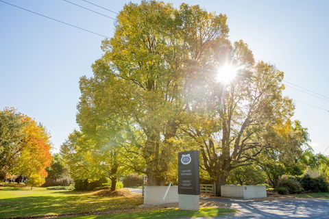 Brown Brothers Milawa Vineyard - Stays Accommodation 0