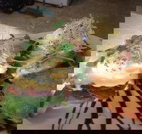 Cafe in the Mountains - Stayed