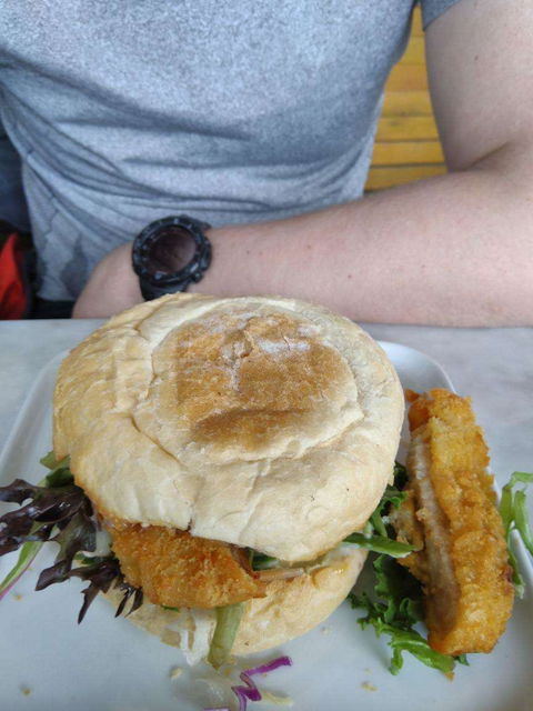 Moon's Fresh Sushi - Stayed 0