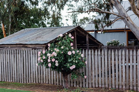Penny's Hill Winery - Stayed 2