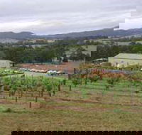 Villa d Esta Vineyard - Stays Accommodation